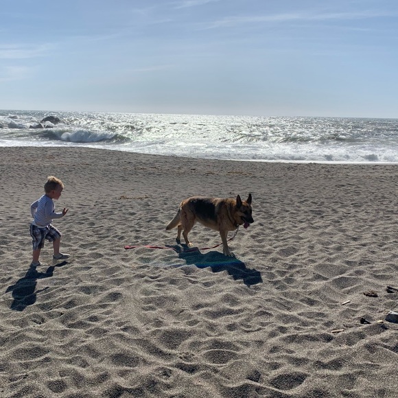 Meet your Posher, Daria. - Picture 3 of 6